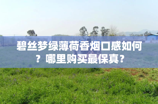 碧丝梦绿薄荷香烟口感如何？哪里购买最保真？